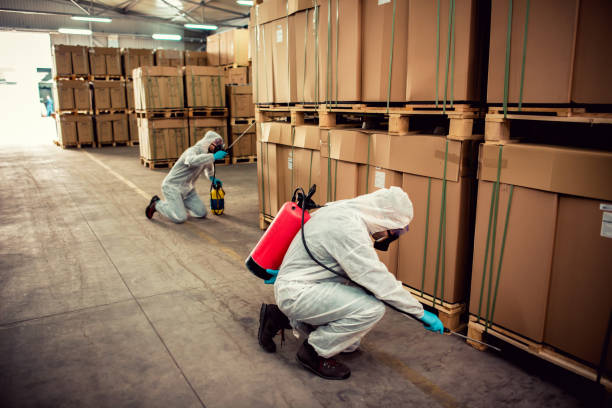 Best Residential Pest Control  in Oneida, TN