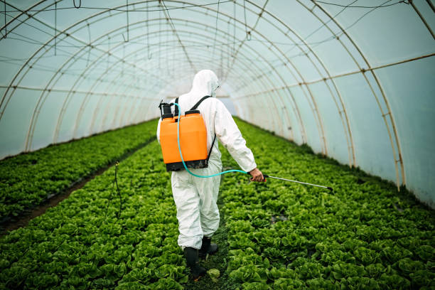 Best Mosquito Control Services  in Oneida, TN