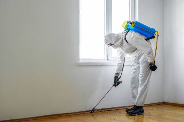Best Pest Control Treatment  in Oneida, TN