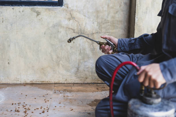 Best Pest Removal Services  in Oneida, TN